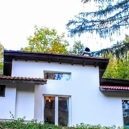 пе́трови *