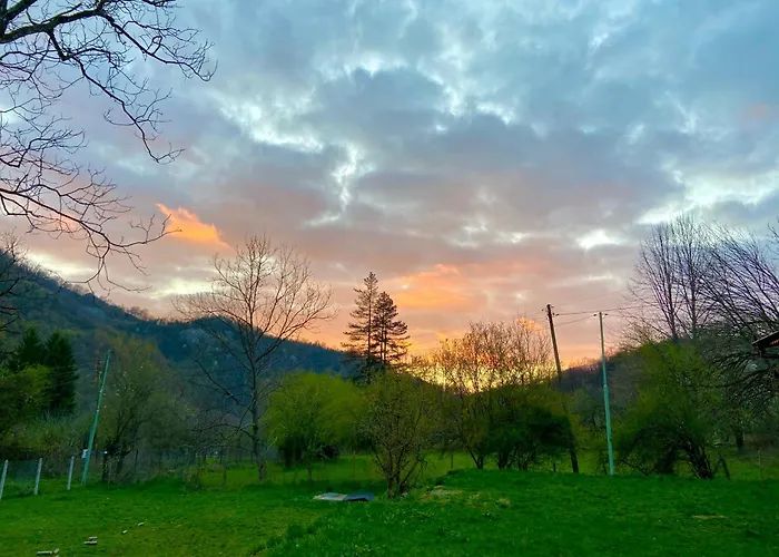 пе́трови 度假居 *