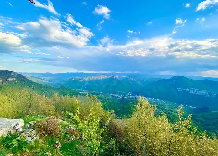 度假居 пе́трови *