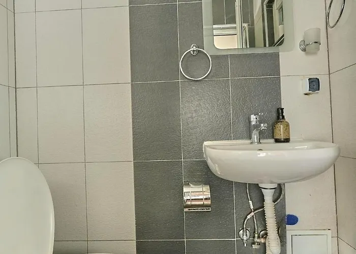 пе́трови 度假居