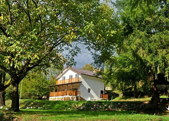 пе́трови 里巴里卡